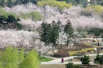 和外舅夙興三首