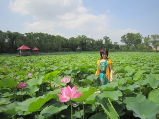 鷓鴣天（寄少城）