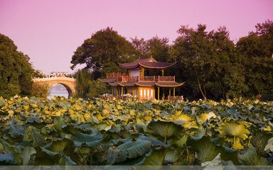 八聲甘州（西湖十詠·曲院風(fēng)荷）