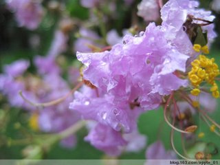 秋思呈尹植裴說（一本題下有鄭洞二字）