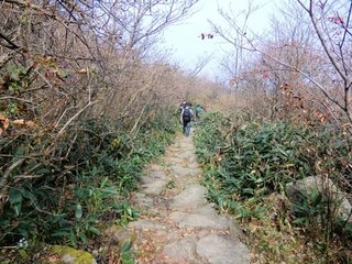 和陳傳道秋日十詠之一秋雨