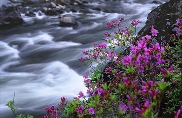 木蘭花慢（送鄭伯昌）