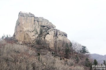 送通守趙積中朝議請祠歸天臺