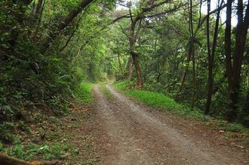 六月六日倪{奧下加山}庵坐雨