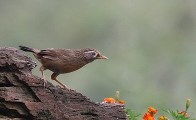 借朱約山韻就賀掛冠