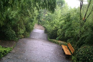 雨中宿竹林寺謝尉仁父見訪