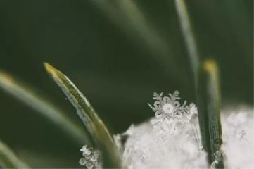 烏夜啼·無端小雪廉纖