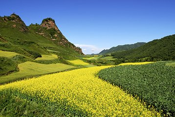 渭河道中 其一