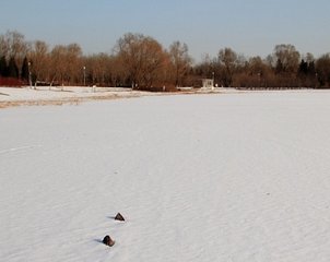 喜遷鶯（甲辰冬至寓越，兒輩尚留瓜涇蕭寺）