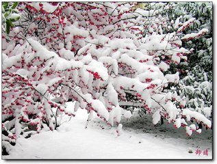 繼韻耿時(shí)舉寄示往歲梅雪