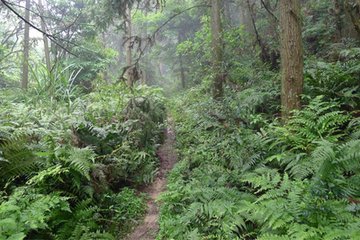 和九華觀見懷貢院八韻