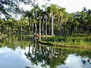 西江月·璧水橋邊此客