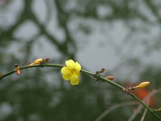 早春有懷亡友秋曉恕齋小山諸公