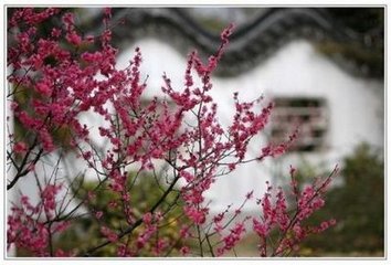 瑞鶴仙（餞郎糾曹之巖陵）