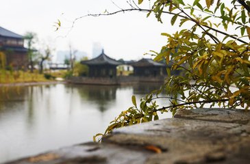 雨中有感