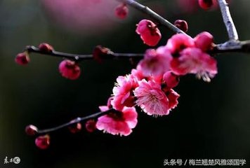 菩薩蠻·高樓目斷南來翼