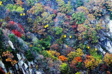 秋山散步