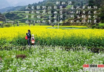 醉桃源（雪）