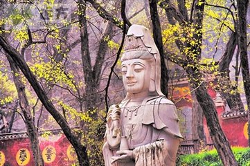 秋日題瑯琊山寺