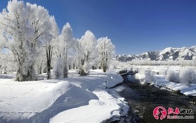 詠冬詩(shī)