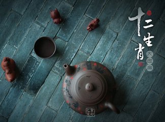 贈(zèng)潘尼詩