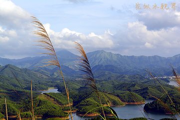 清平樂·水遙花瞑