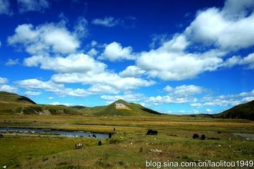 大熱見田中病牛