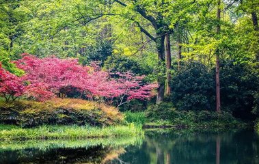 和南山弟虎圖行