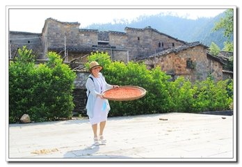 去年五月十七廬山禱而雨嘗有詩(shī)今年五月十七