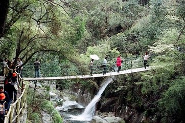 炎十世先隴在婺源不歸拜掃者九年清明有感遂