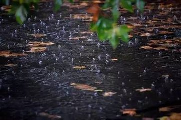 秋雨有懷李寺丞