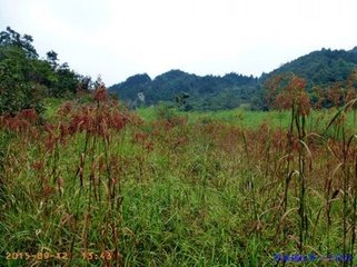 送淳安括田省委買都事