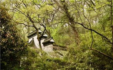 游京口竹林寺