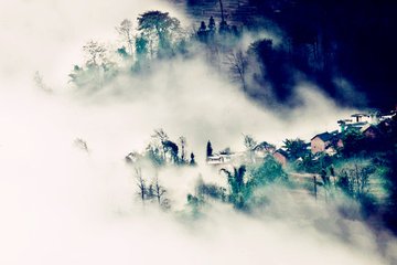 采桑子·跳珠雨罷風初靜