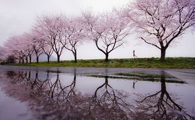 望海潮·側(cè)寒斜雨