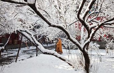 廣寒秋/鵲橋仙