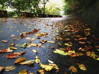 九月十六日游南內(nèi)值大風(fēng)雨歸而雪滿(mǎn)西岫矣