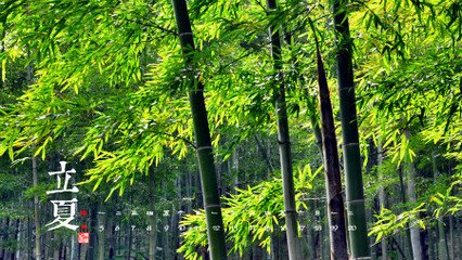 自末春入初夏歸舟即事