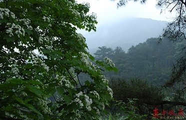 蝶戀花·綠暗蘭皋春雨暮