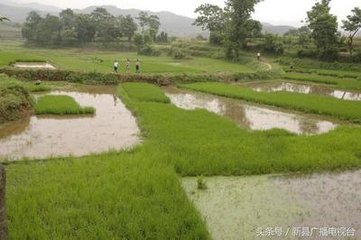 自安仁至豫章途中雜興十九首