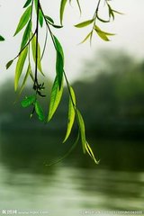 滿庭芳·綠繞群峰