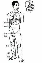 足厥陰及股凡二十二穴