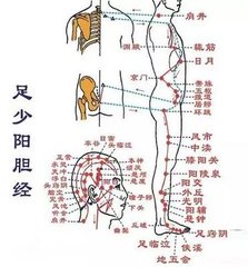 手足陽明少陽脈動發(fā)喉