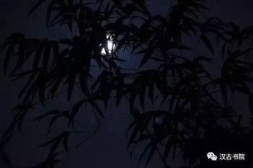 暑夕待月庭下夜深方歸