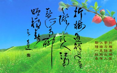 贈(zèng)范曄詩