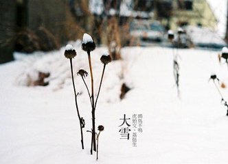 題南屏對(duì)雪圖