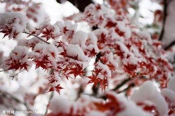 雪詩(shī)賡曹文壽韻