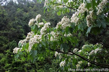 既別晦庵復(fù)成二詩呈之近欲同游善權(quán)不果臨行