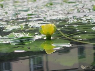 游荊門上泉寺