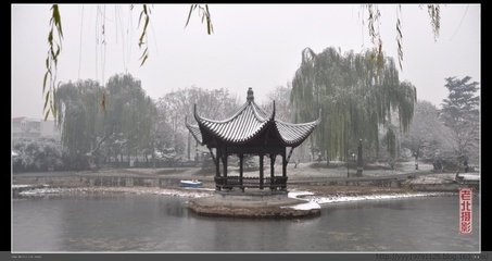 謁金門·風雨後